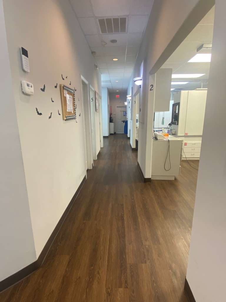Reception area at Dentist in Bloomingdale